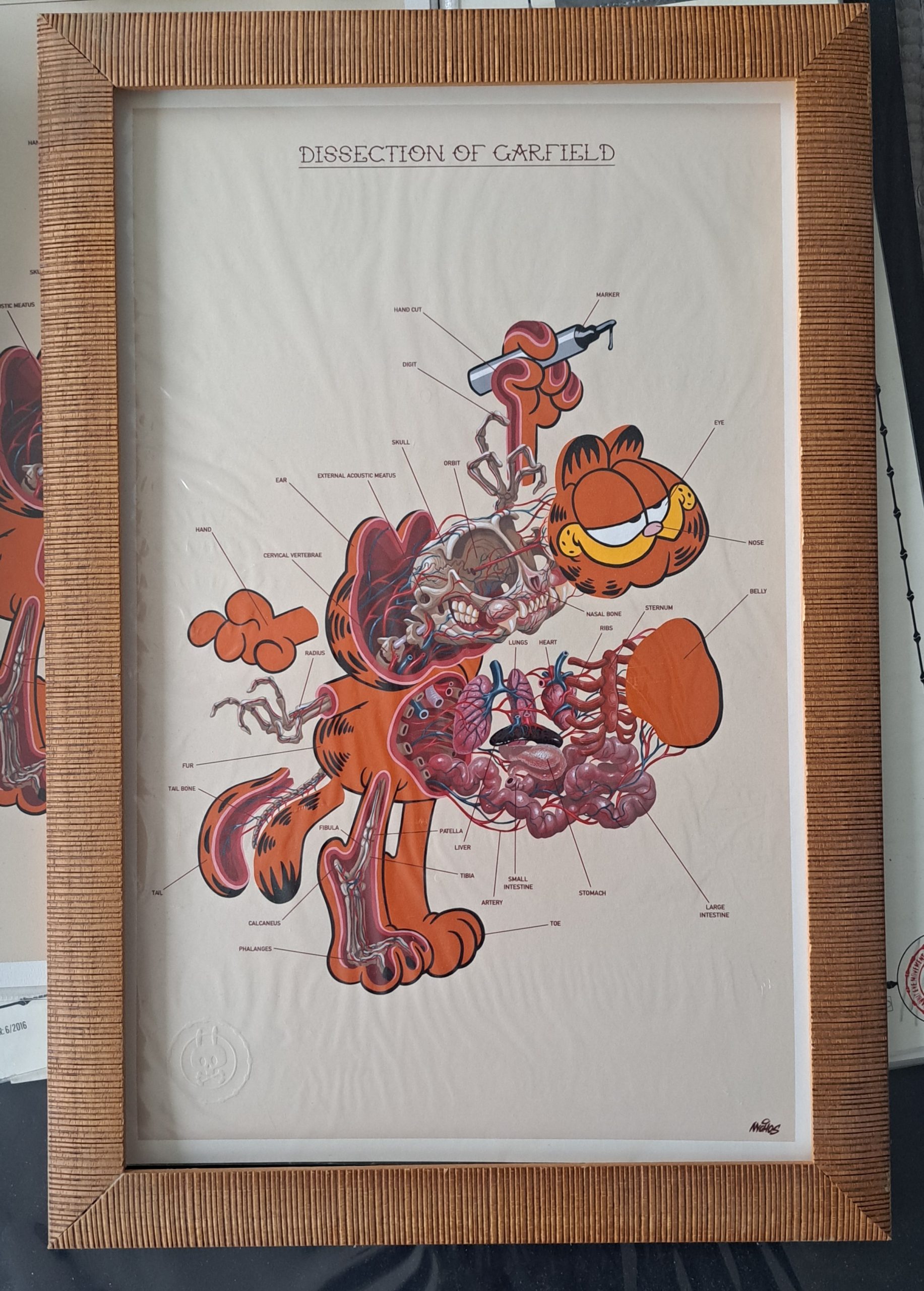 Nychos - Garfield - Image 1